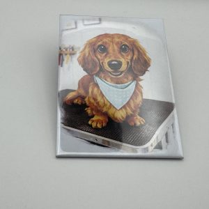 Custom Design Magnets